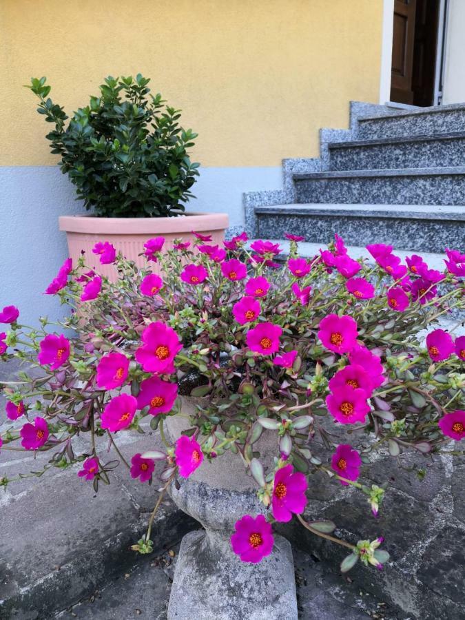 La Casa Di Tino Hotell Fontanellato Eksteriør bilde